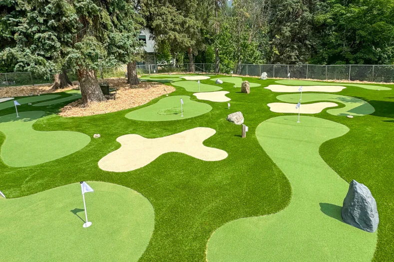 229SG Tips Elite Putt 229SG Tips Elite Putt