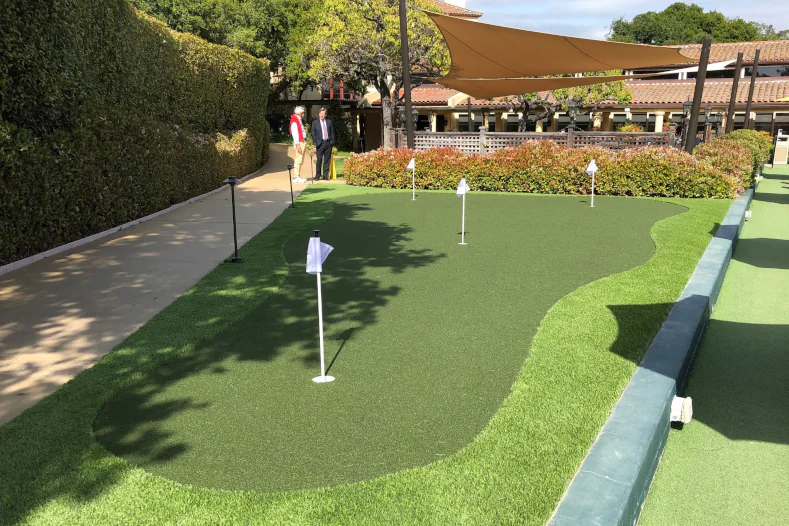 229SG Tips Elite Putt 229SG Tips Elite Putt